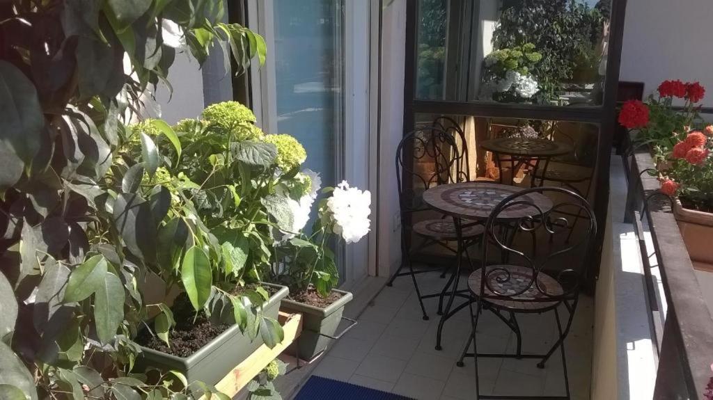 Bb Dante Bed and Breakfast Μεσίνα Εξωτερικό φωτογραφία